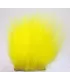 Isbjørn medium