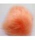 Tempelhund Small