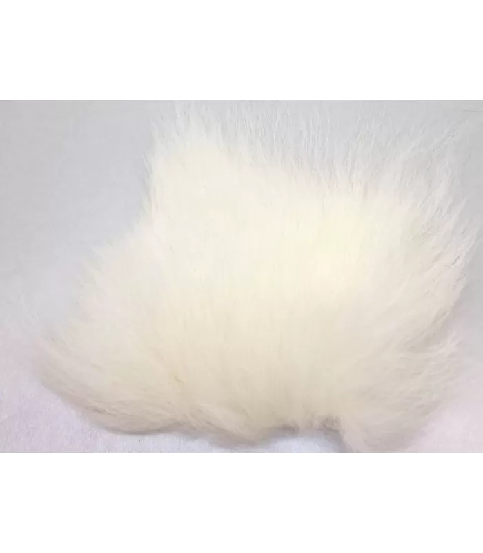 Tempelhund Small