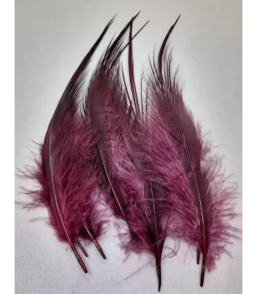 Heron spey feathers