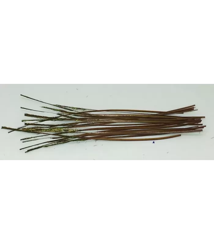Stripped peacock quills