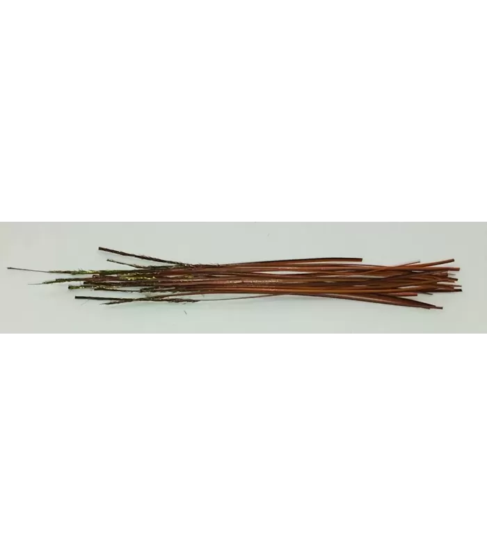 Stripped peacock quills