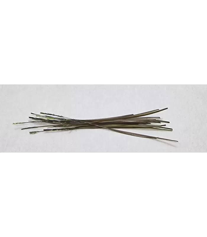 Stripped peacock quills