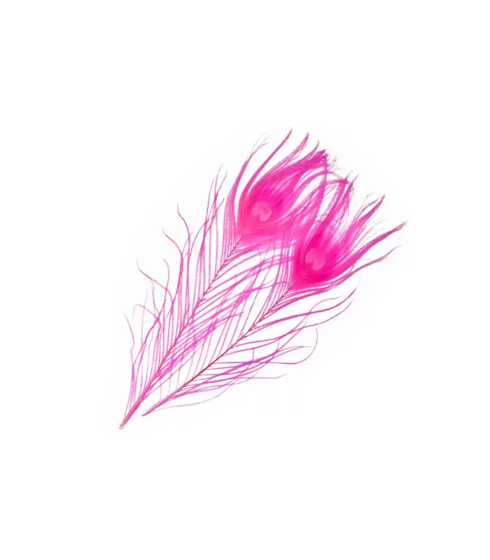 Frodinflies SNS peacock eye feathers