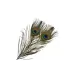 Frodinflies SNS peacock eye feathers