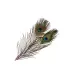 Frodinflies SNS peacock eye feathers