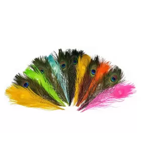 Frodinflies SNS peacock eye feathers