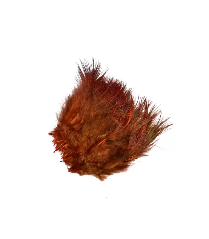 Frodinflies SNS pheasant rump feathers