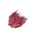 Frodinflies SNS pheasant rump feathers