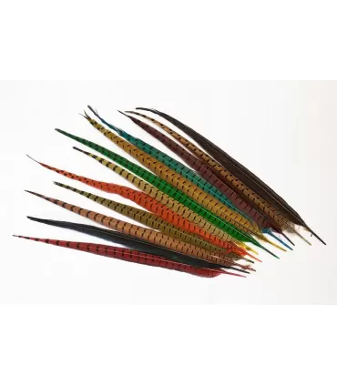 Cock pheasant centre tail