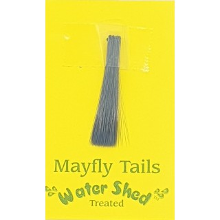 Mayfly tails