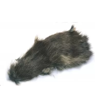 Muskrat
