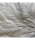 Veniard Genetic hen saddles