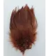 Strung rooster saddles long