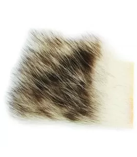 Wapsi badger