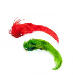 Wapsi golden pheasant topping crest 2-pk