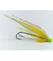 Yellow white wing