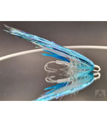 Arctic blue flashwing