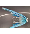Arctic blue flashwing