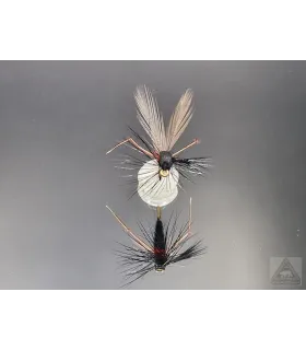 Bibio no.1