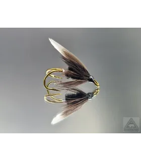 Black Gnat