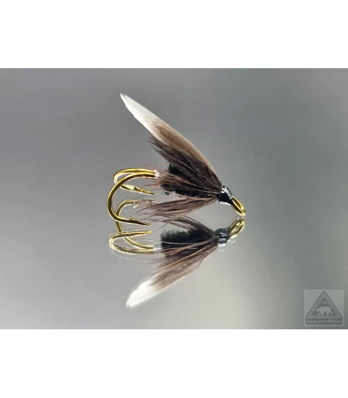 Black Gnat