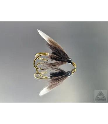 Black Gnat