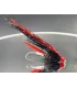 Black & red flashwing