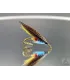Blue doctor trout double