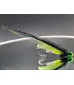 Brinken's fathead green