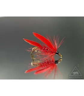 Cardinal