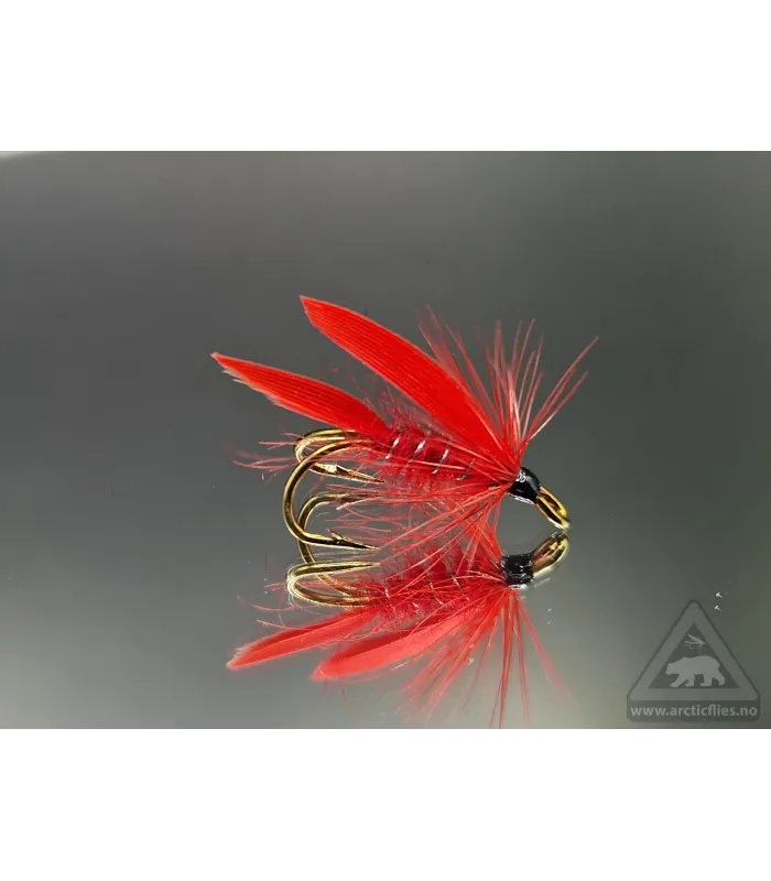 Cardinal