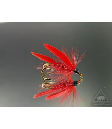 Cardinal
