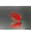 Cardinal