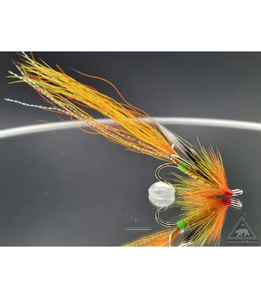 Carron shrimp