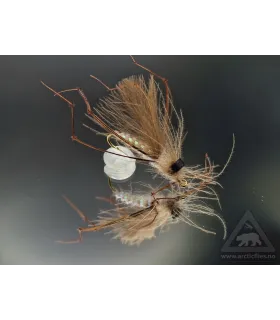CDC daddy long legs