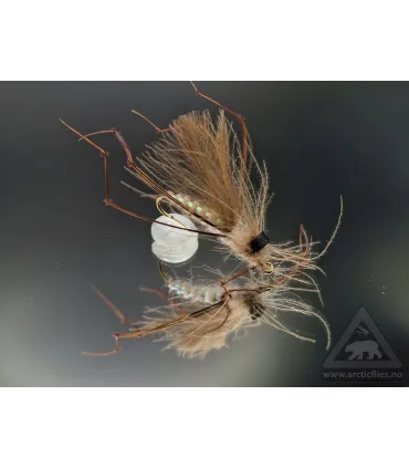 CDC daddy long legs