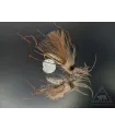 CDC daddy long legs