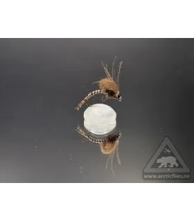 CDC loopwing emerger