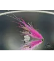 Cdc shrimp fl.pink
