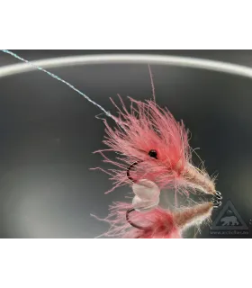 Cdc shrimp pink/tan