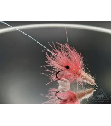 Cdc shrimp pink/tan