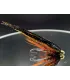 Dallis flashwing tube