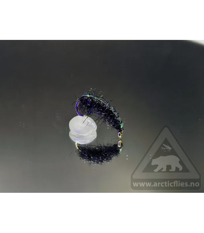 Ice gammarus black