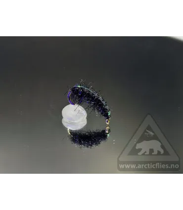 Ice gammarus black