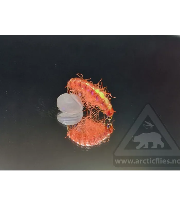 Ice gammarus hot orange