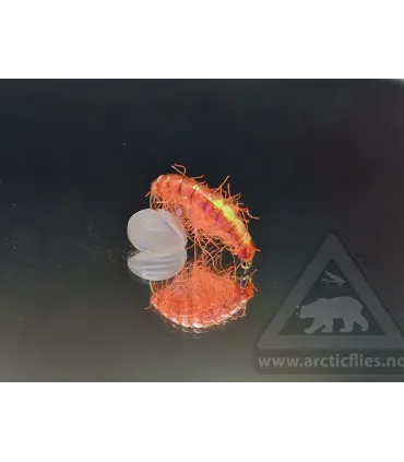 Ice gammarus hot orange