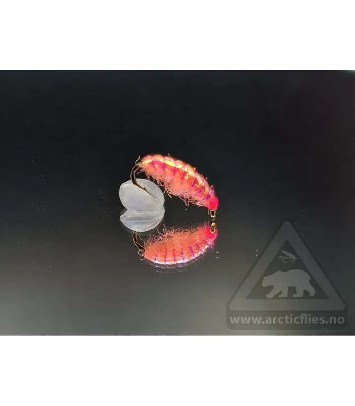 Ice gammarus pink