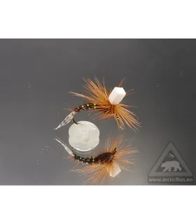 Ephemerella