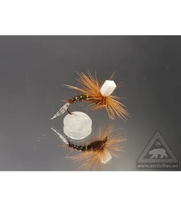 Ephemerella